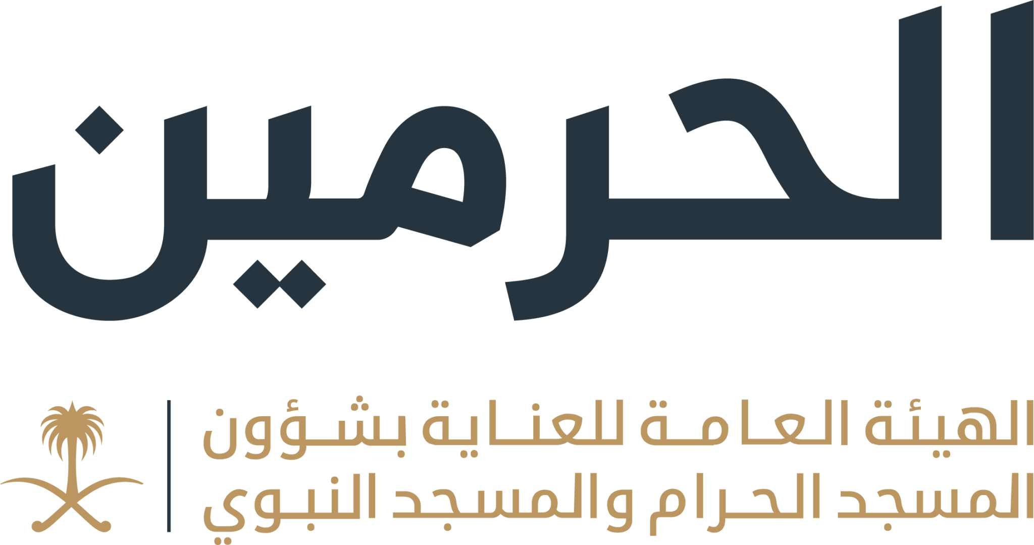 مبادرة بلسان مبين